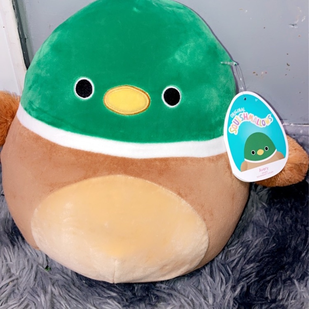 Avery the duck 12”